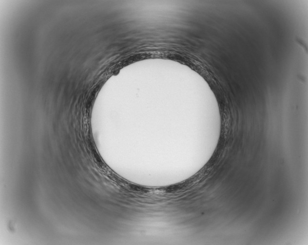 X0000102260609200808151842