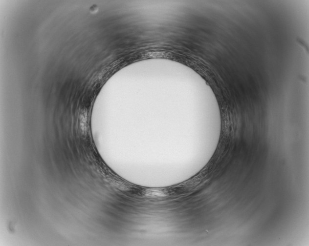 X0000102260610200808151842