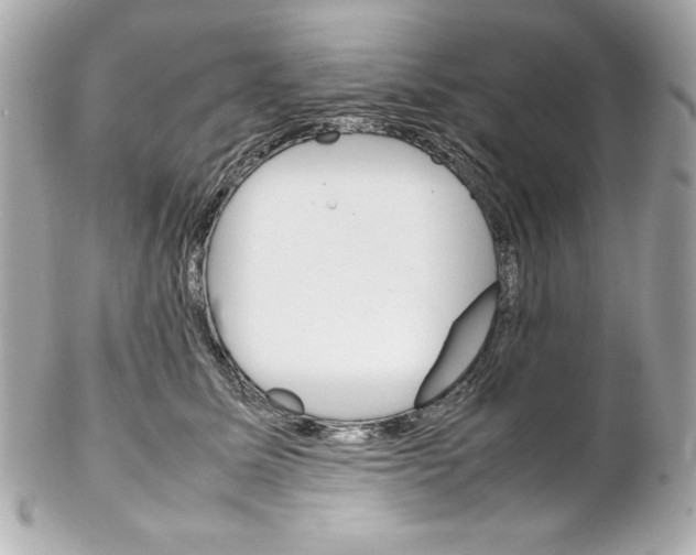 X0000102260611200808151842