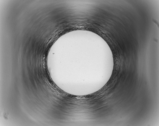 X0000102260612200808151842
