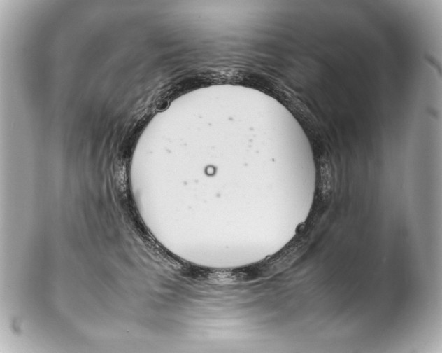 X0000102260613200808151842