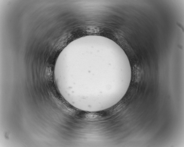 X0000102260614200808151842