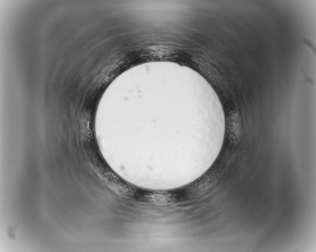 X0000102260615200808151842