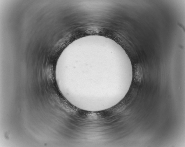 X0000102260616200808151842