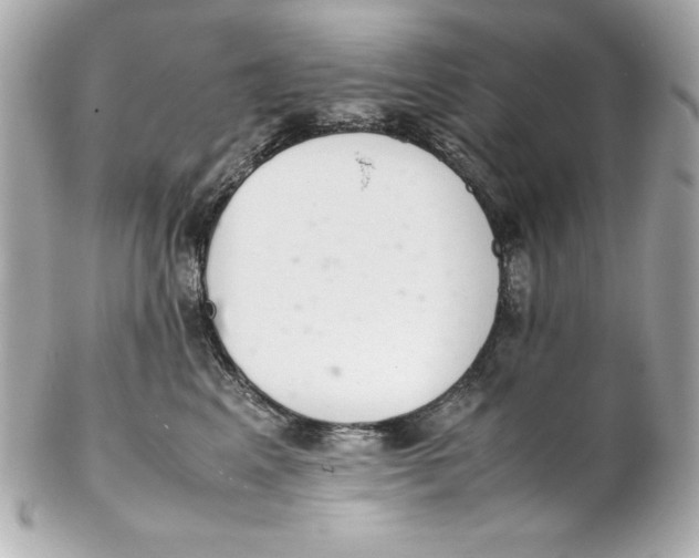 X0000102260617200808151842
