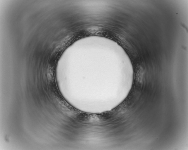 X0000102260618200808151842