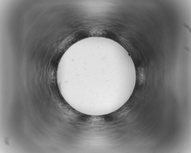 X0000102260619200808151842
