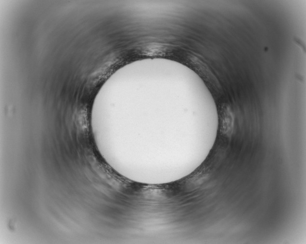 X0000102260620200808151842