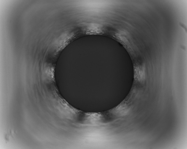 X0000102260621200808151842