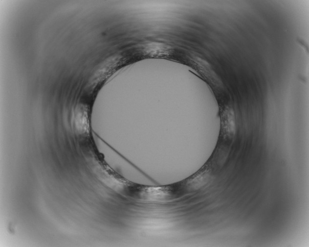 X0000102260622200808151842
