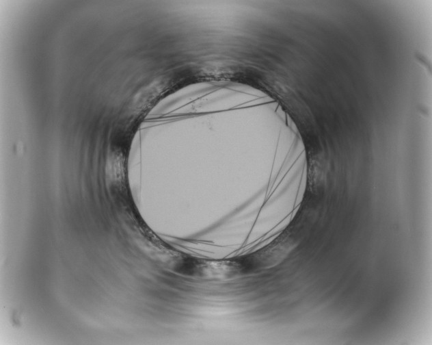 X0000102260623200808151842
