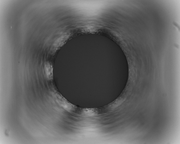 X0000102260624200808151842
