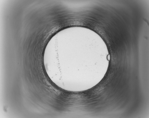 X0000102260625200808151841