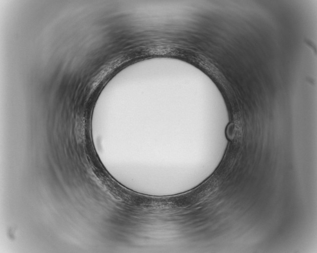 X0000102260626200808151841