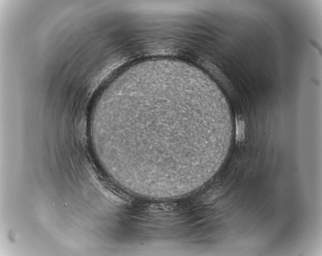 X0000102260627200808151841