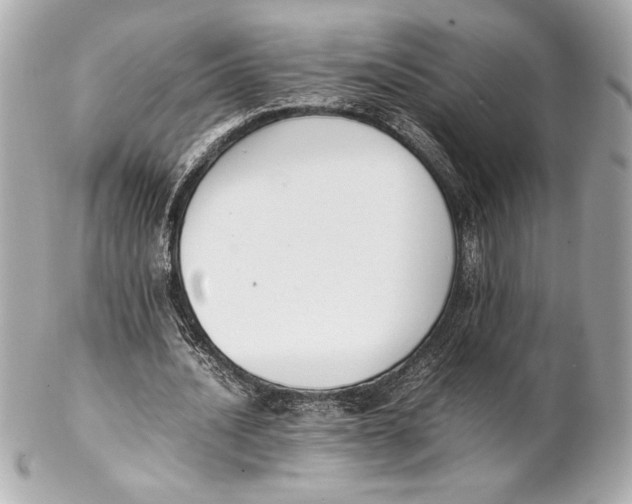X0000102260628200808151842