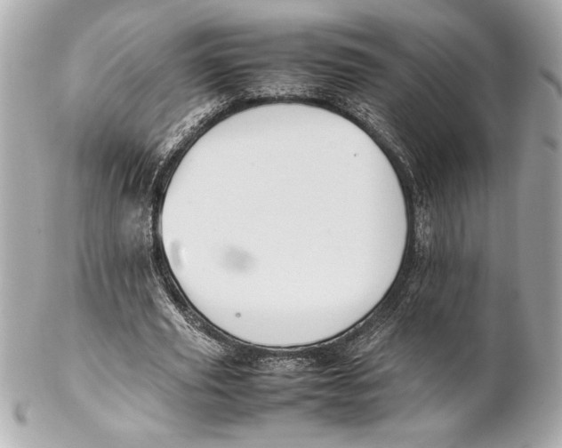 X0000102260629200808151842