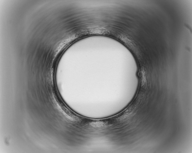 X0000102260630200808151842