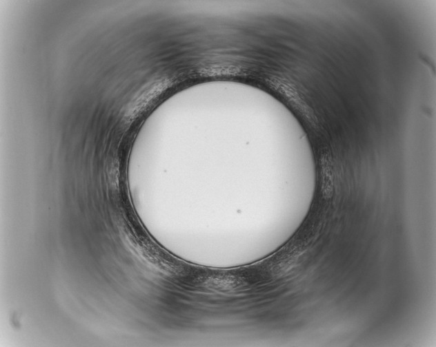 X0000102260631200808151842