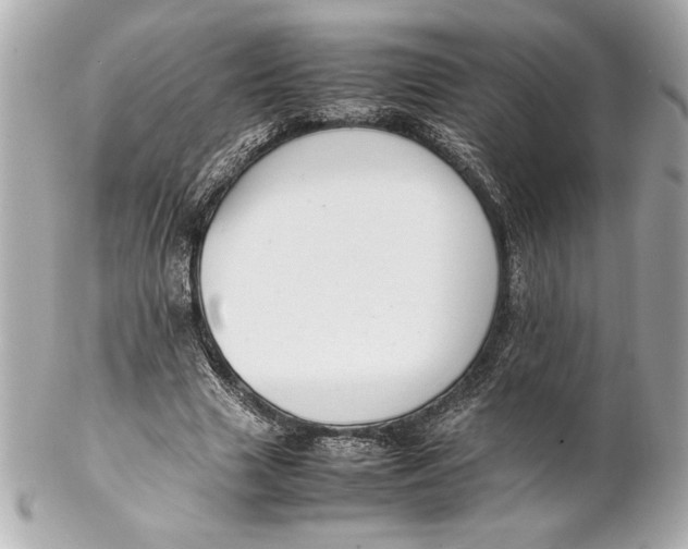 X0000102260633200808151842