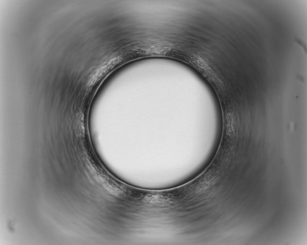 X0000102260634200808151842