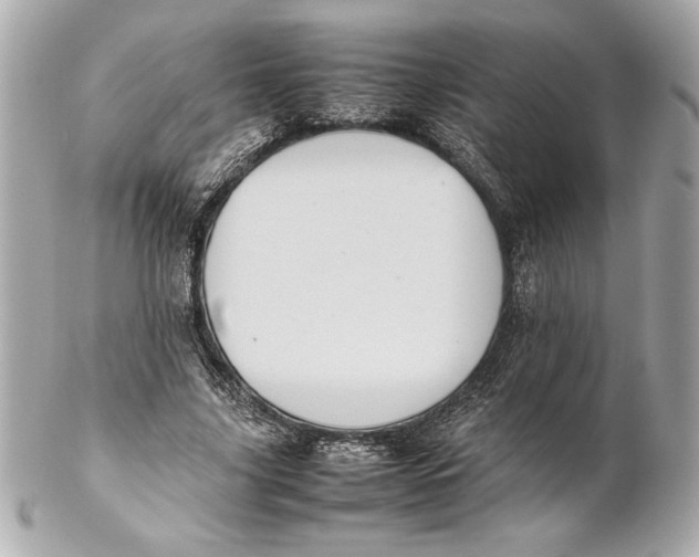 X0000102260635200808151842