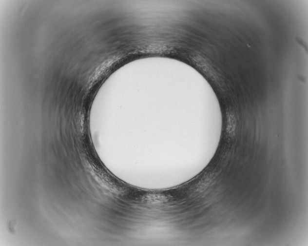 X0000102260636200808151842