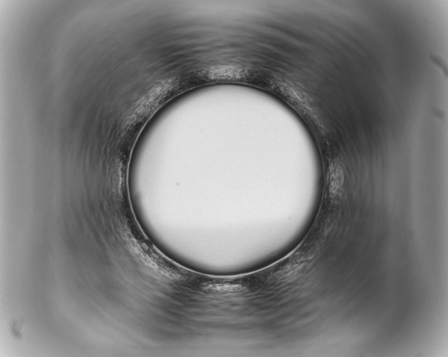 X0000102260637200808151842