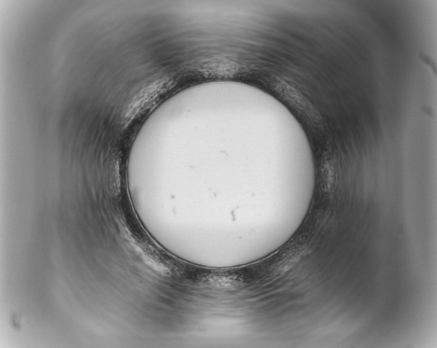 X0000102260638200808151842