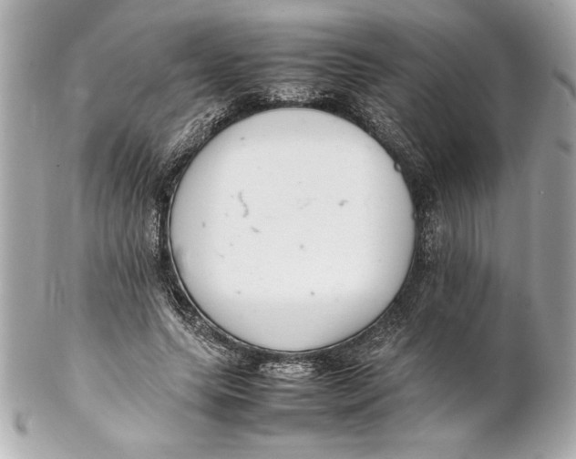 X0000102260639200808151842