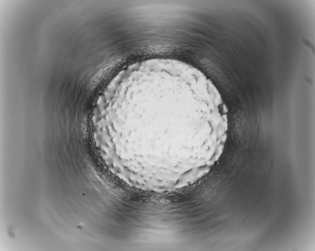 X0000102260640200808151842