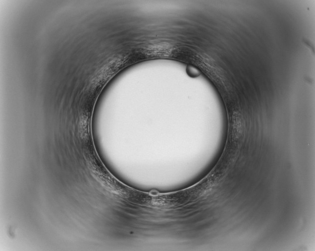 X0000102260641200808151842