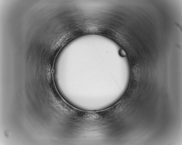 X0000102260642200808151842