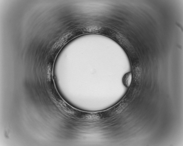 X0000102260644200808151842