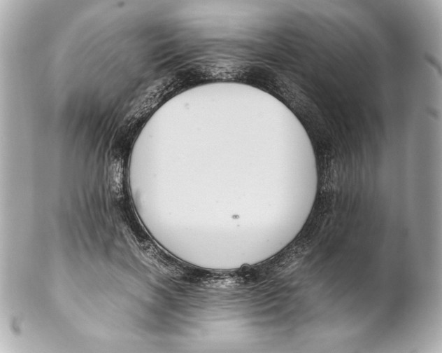 X0000102260646200808151842