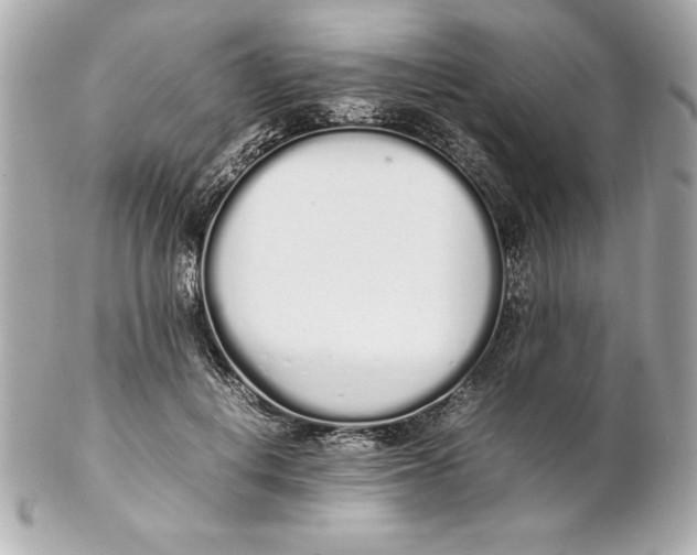 X0000102260648200808151842