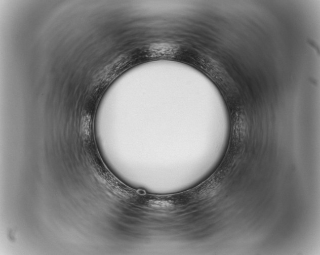 X0000102260649200808151842