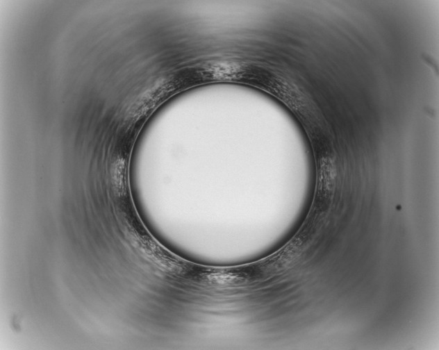 X0000102260650200808151842