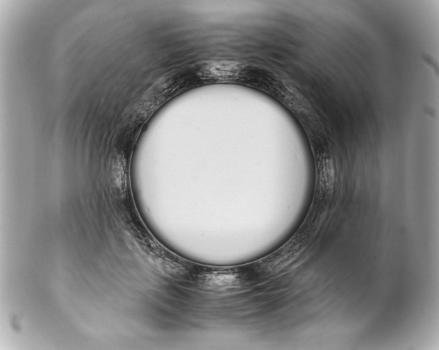 X0000102260651200808151842
