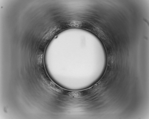 X0000102260652200808151842