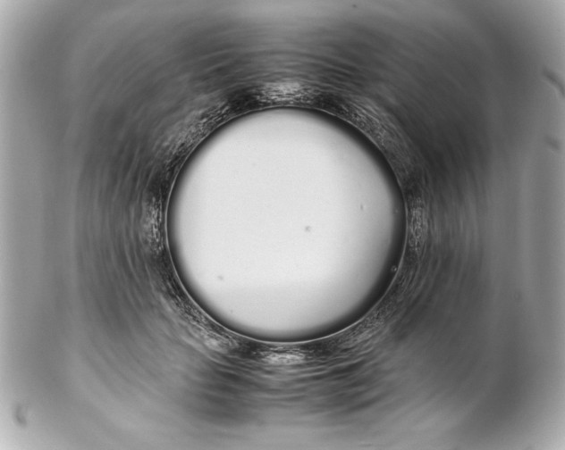 X0000102260653200808151842