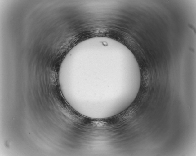 X0000102260654200808151842
