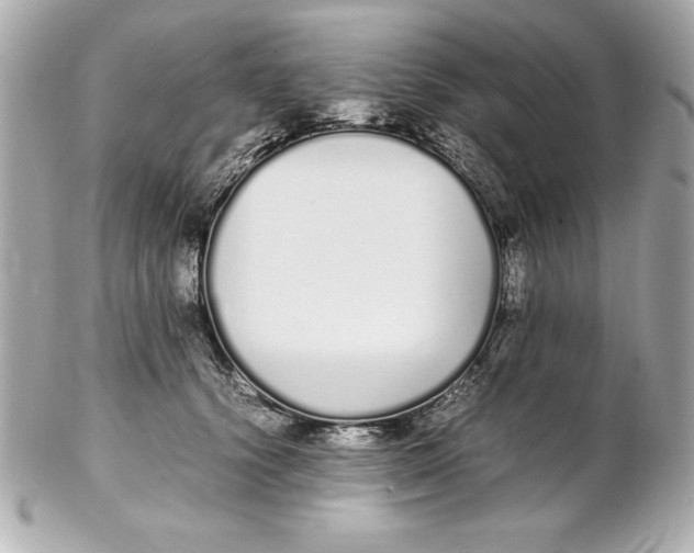 X0000102260656200808151842
