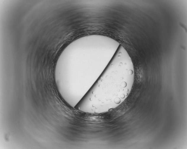 X0000102260657200808151842