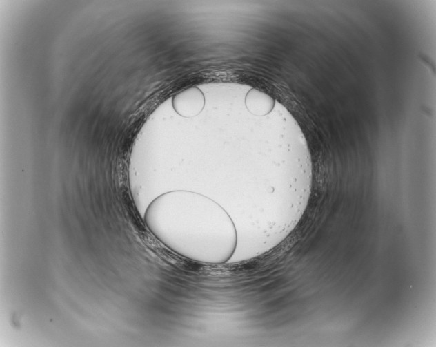 X0000102260658200808151842