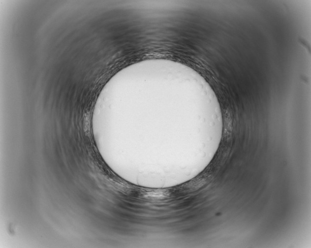 X0000102260659200808151842