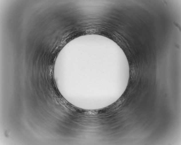 X0000102260660200808151842