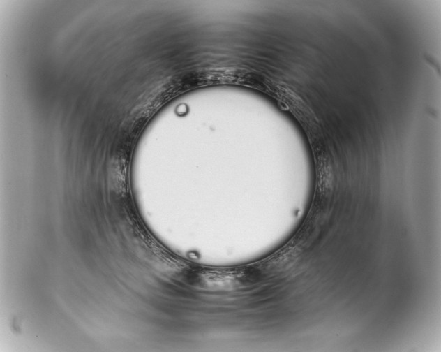 X0000102260661200808151842