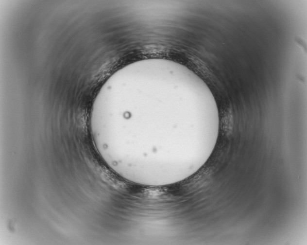 X0000102260662200808151842