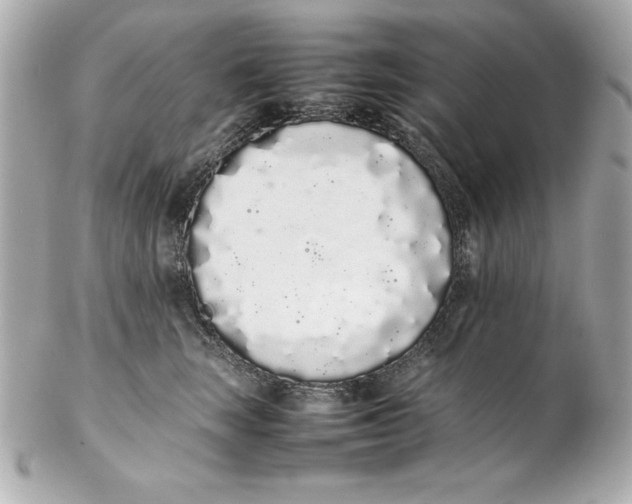 X0000102260663200808151842